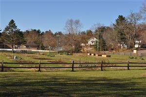 Community Garden